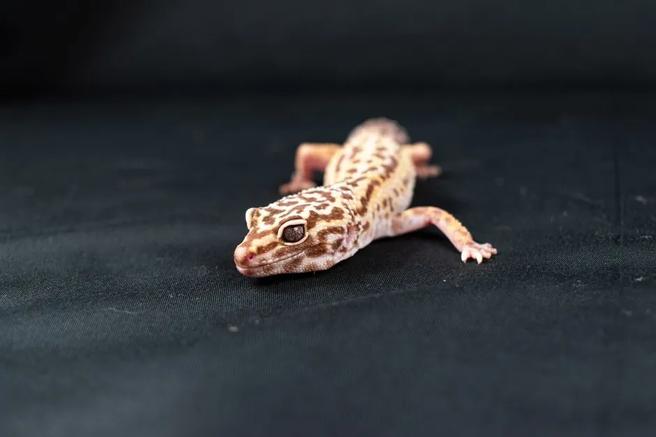 Crested Gecko Care: Temperature, Humidity, and Diet Basics