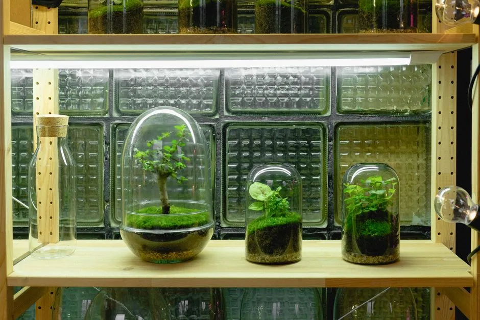 How to Create a Heat Gradient in Any Reptile Enclosure